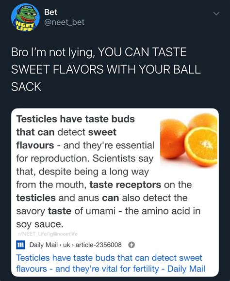 can guys taste with their balls